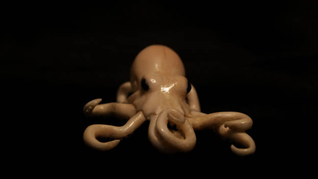 ivory octopus