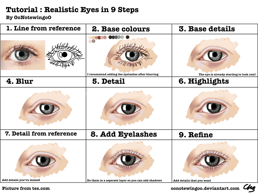 Eye Draft How To Draw A Realistic Eye In 9 Steps by OoNotewingoO on DeviantArt