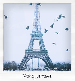 Pray Of Paris