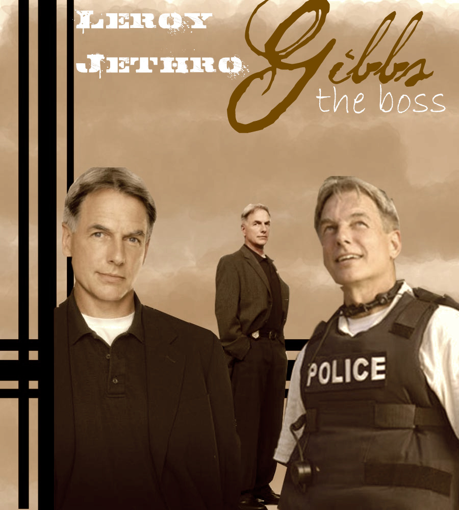 Leroy Jethro Gibbs