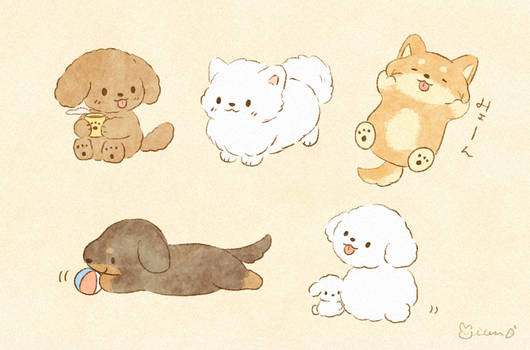 Fluffy dogs