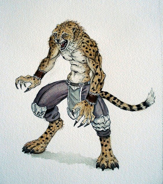 Cheetah Warrior