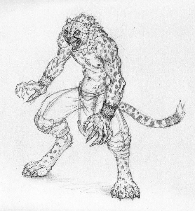 Cheetah Warrior Sketch