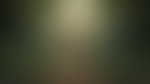 95080-Jungle Loincloth Lara Croft from Tomb Raider