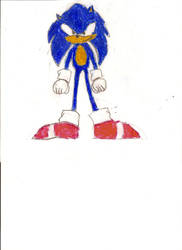 Sonic 'first attempt'