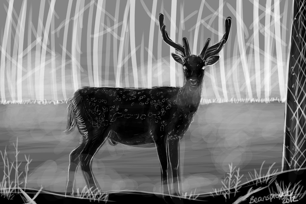 grayscale sketch by beansproutt on DeviantArt