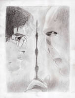 Harry Potter: Deathly Hollows