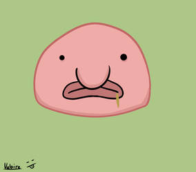 Blobfish Lives Matter