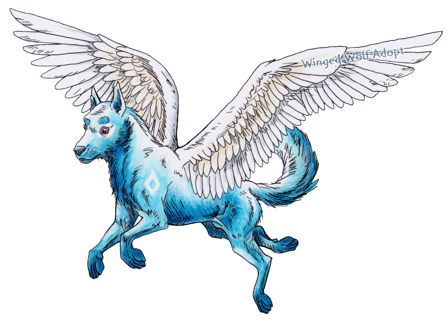 Winged Wolf Adoptable