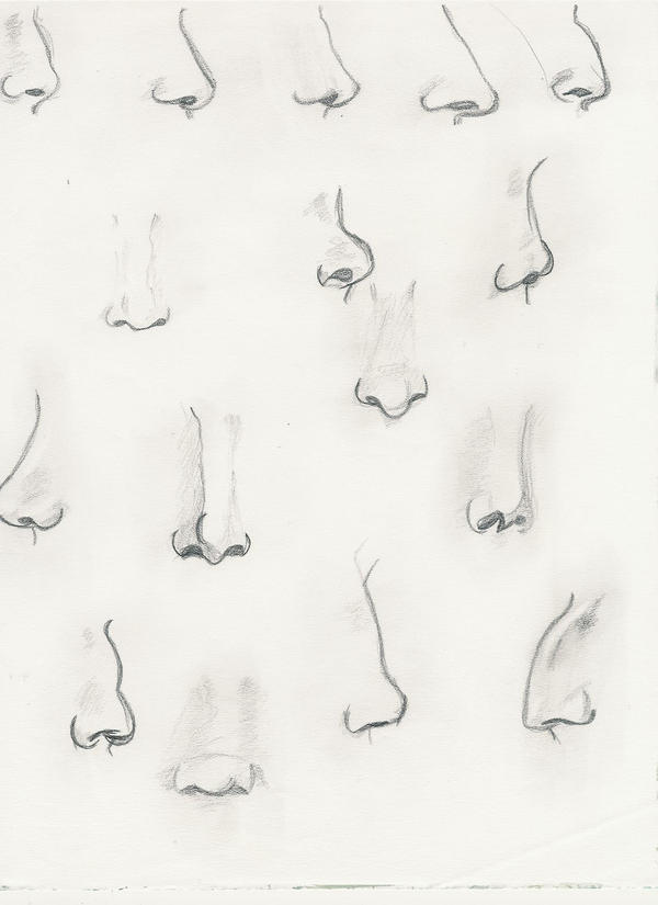 noses