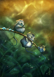 Three little mice