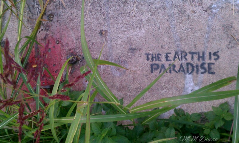 The Earth is Paradise