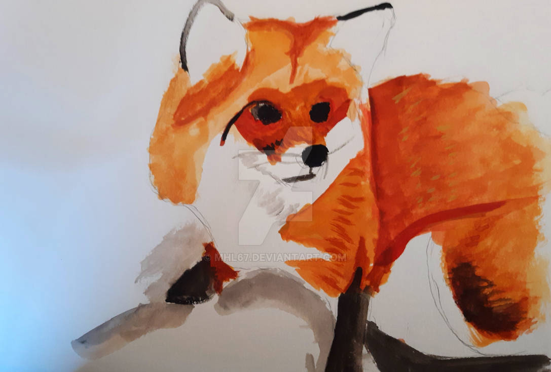 Red Fox, 2019 by mhl67 on DeviantArt