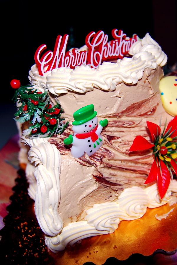 Yule log cake