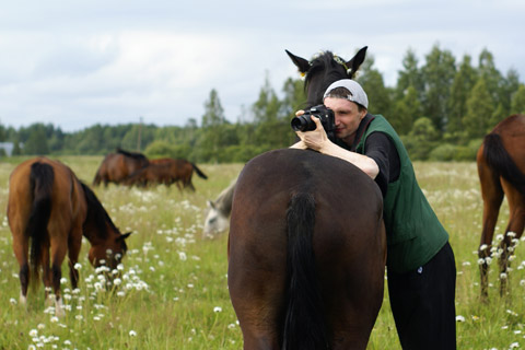 me taking photos in a herd