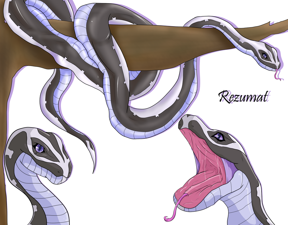 Rezumat Bunicul Rezumat by Shaded-Seraphim on DeviantArt