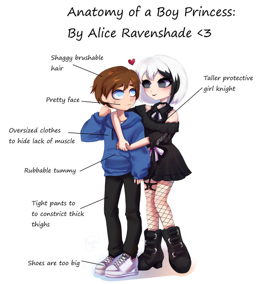 Deviantart Princess Boy Anatomy of a Boy Princess by Shadow-Vivian on DeviantArt