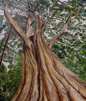 The Tree... by sgarciaburgos