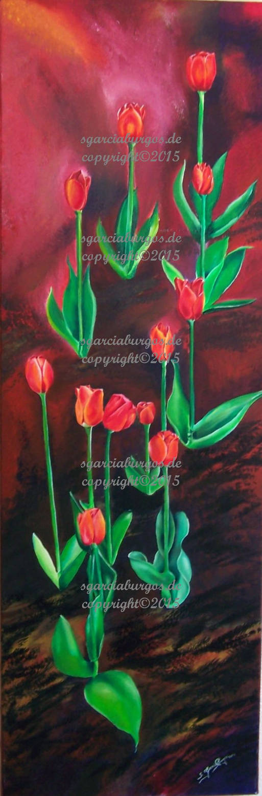 Tulpen tulips by sgarciaburgos