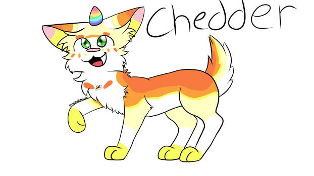 Chedder