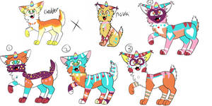 unicat breeding Batch1-OPEN-(2/4) (prices reduced)