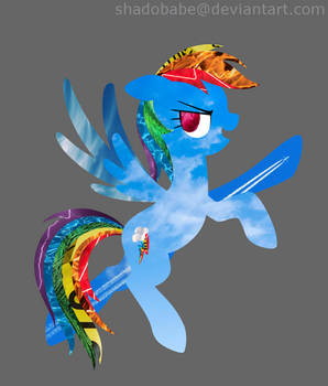 Stock Photo Rainbow Dash