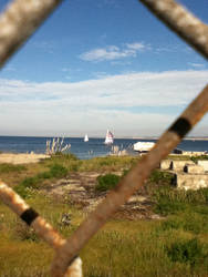 The Field and Boats