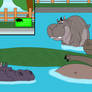 Relaxing at the Hippo Enclosure