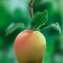 apple