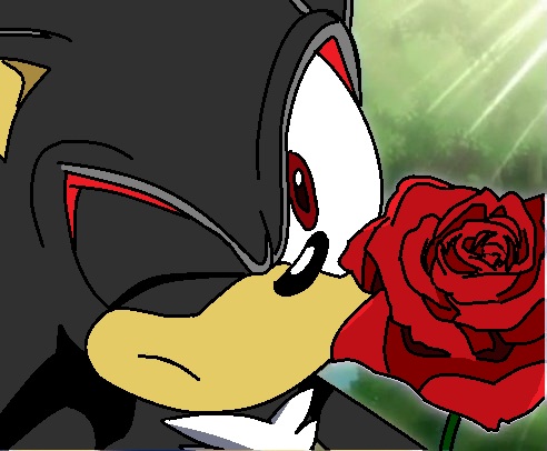 52 Sonic X ideas  sonic, sonic the hedgehog, sonic art