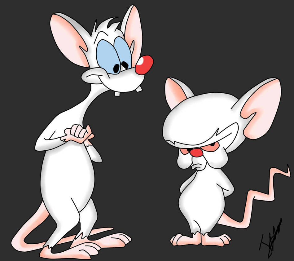Пинки мышь. Крысы Пинки и Брейн. Мышонок Брейн и Пинки.