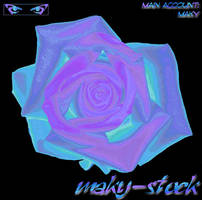 maky-stock Id