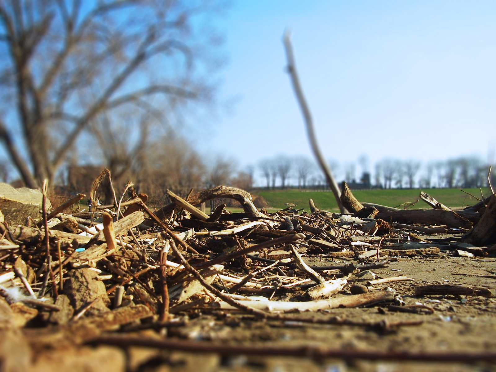 Where Driftwood Ends