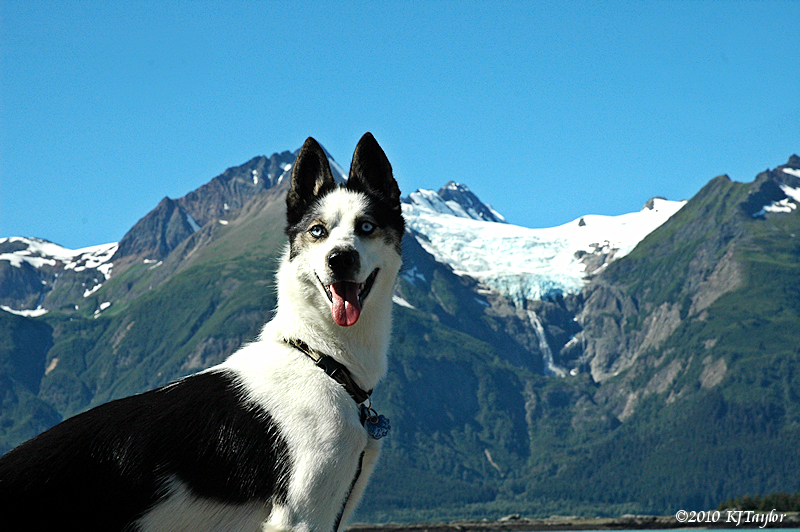 Halo in Haines