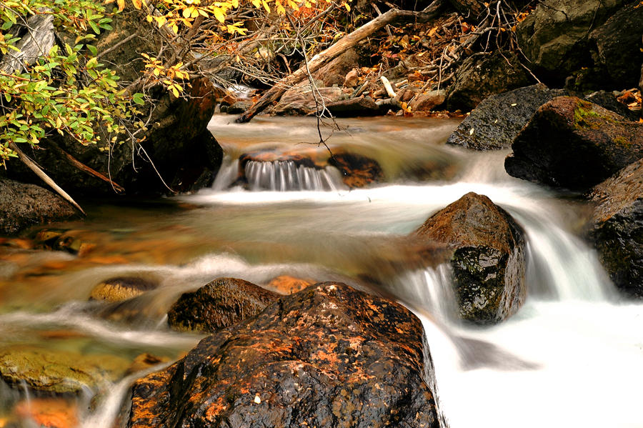 Pooley Creek