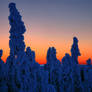 Dempster Highway Sunrise