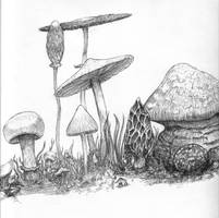 mushrooms in ink