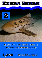 Zebra Shark: Obsessional Ocean #11