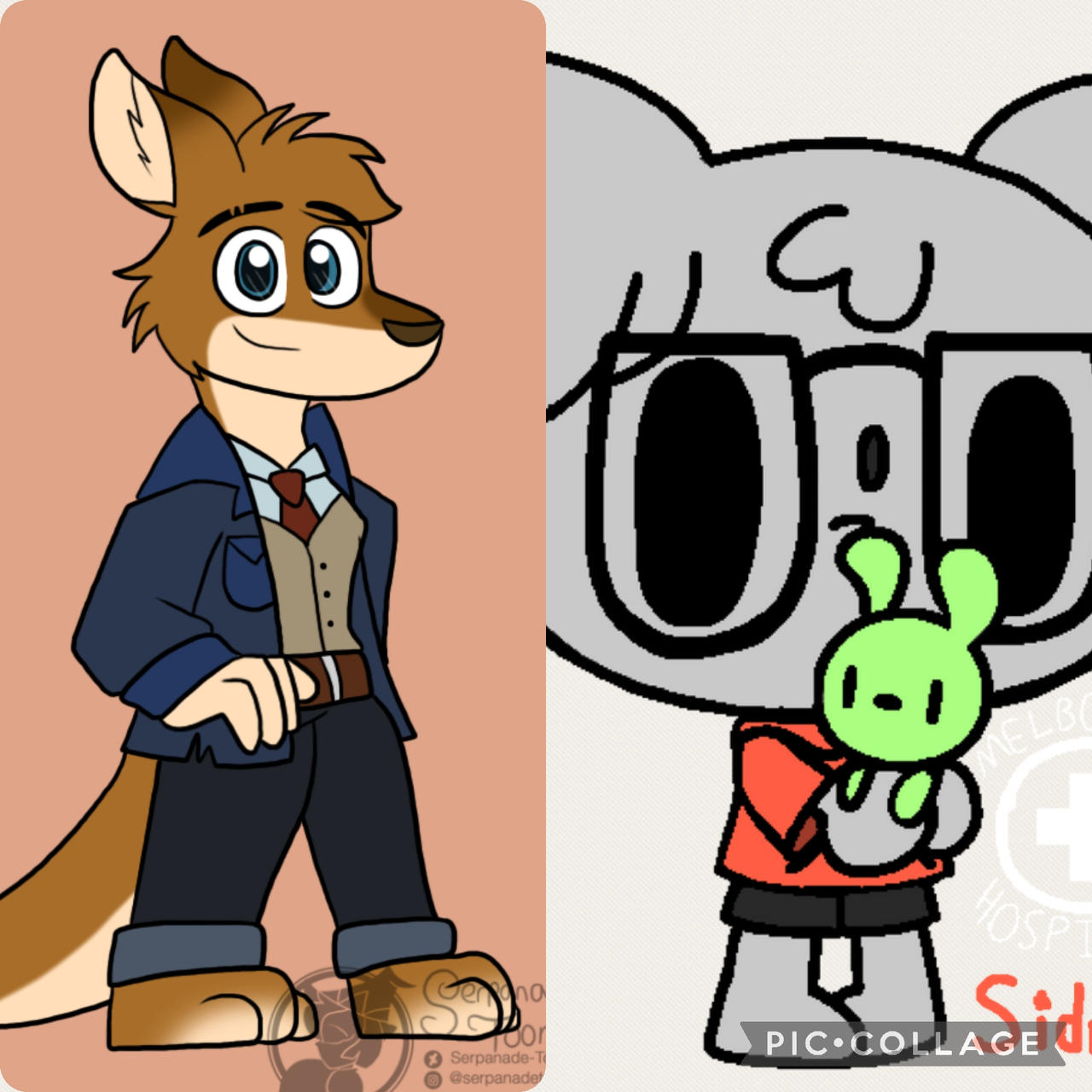 Australian Marsupial Twins by Edserynl on DeviantArt
