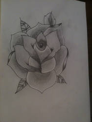 rose tattoo idea