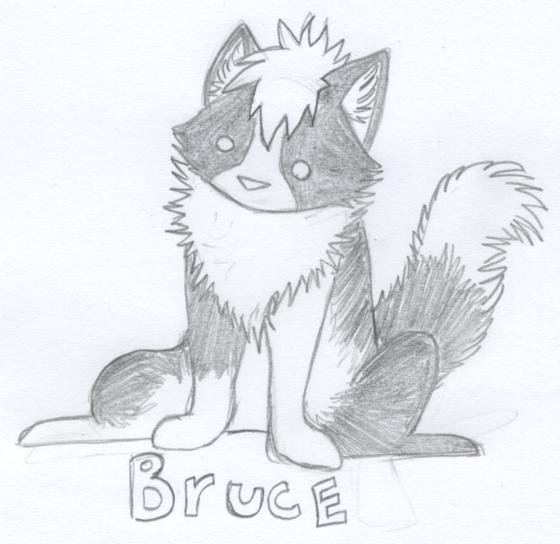 bruce