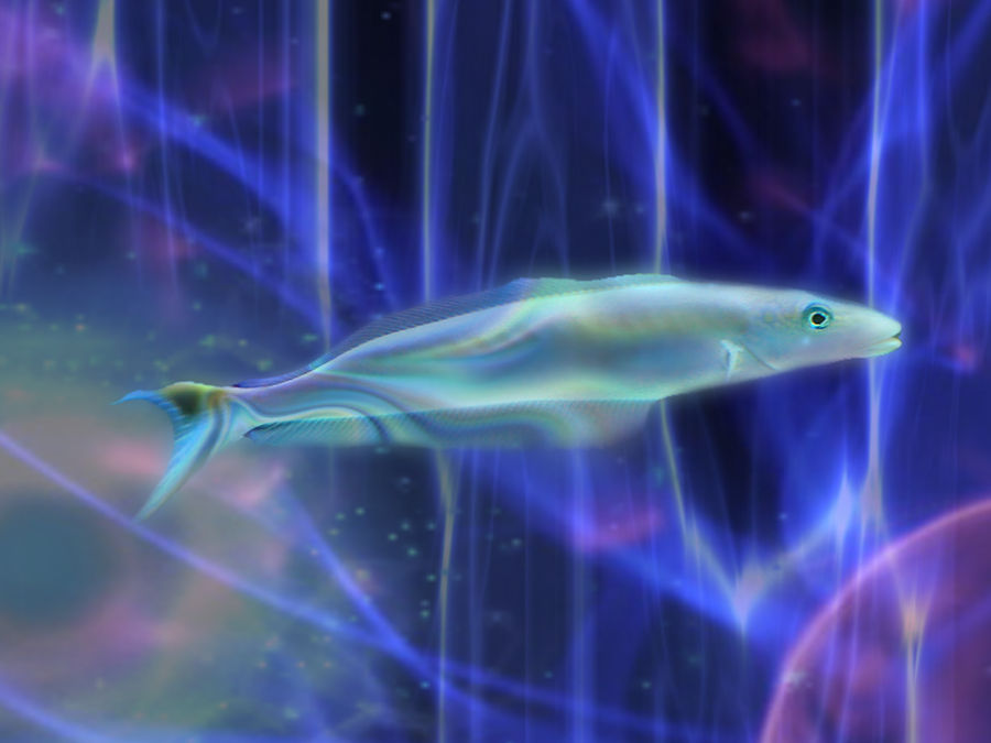 Electro Fish II by Darebrother on DeviantArt