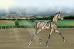 Liberty TLEC Entry by Flamerie