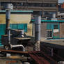 Industrial Rooftop 1