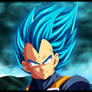 Vegeta ~ Super Saiyajin god