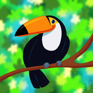 Toucan