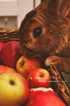 :.Apples.And.Jean.: by OHinaO
