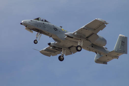 A-10 Warthog - Luke Air Force Base Air Show 2018