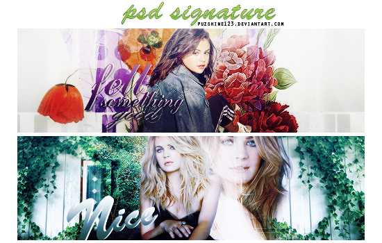 psd signature #3