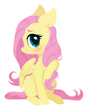 shy